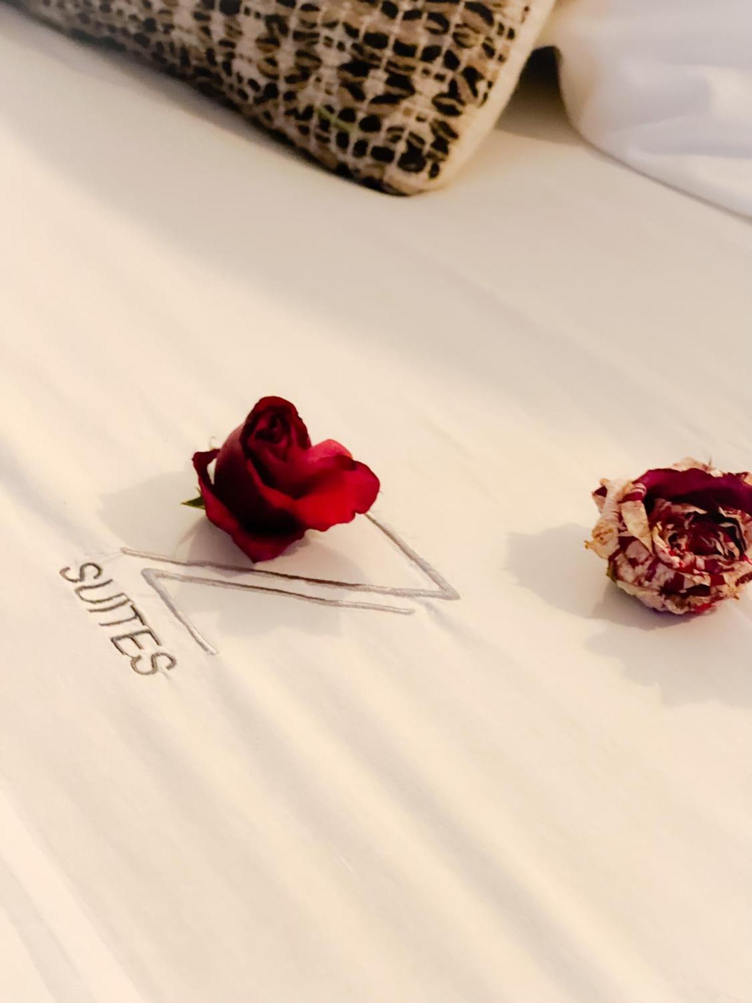Zambujal Suites Сесимбра Екстериор снимка